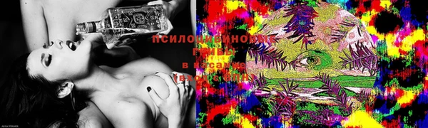 дурь Каменногорск