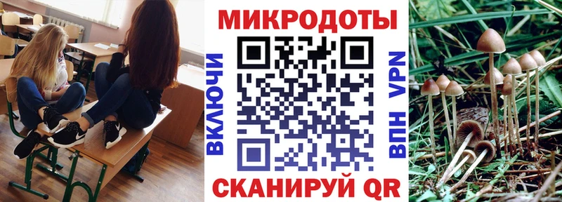 Купить закладки  Верея  Псилоцибиновые грибы Psilocybe 